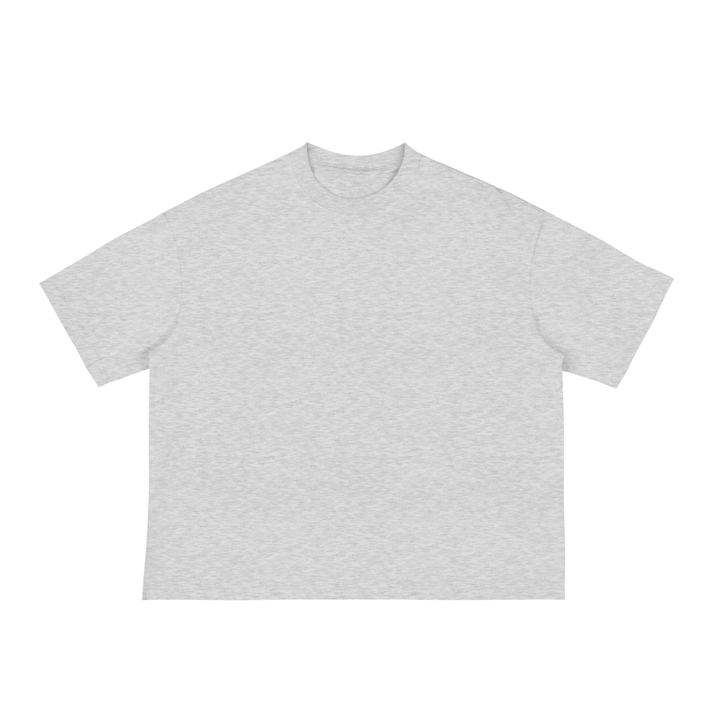 Not Ashamed Boxy Tee — Light