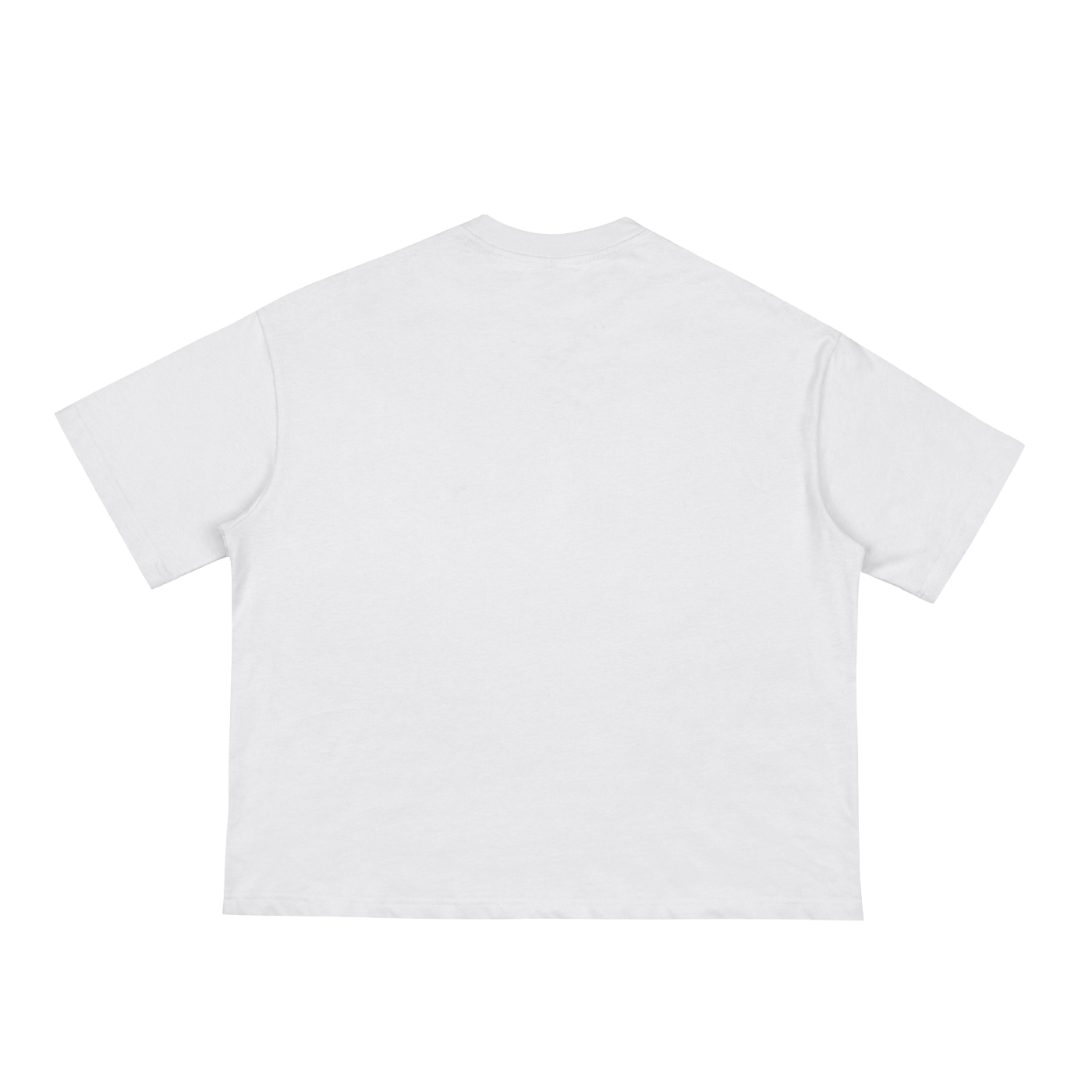 For Such A Time As This Boxy Tee (Light)