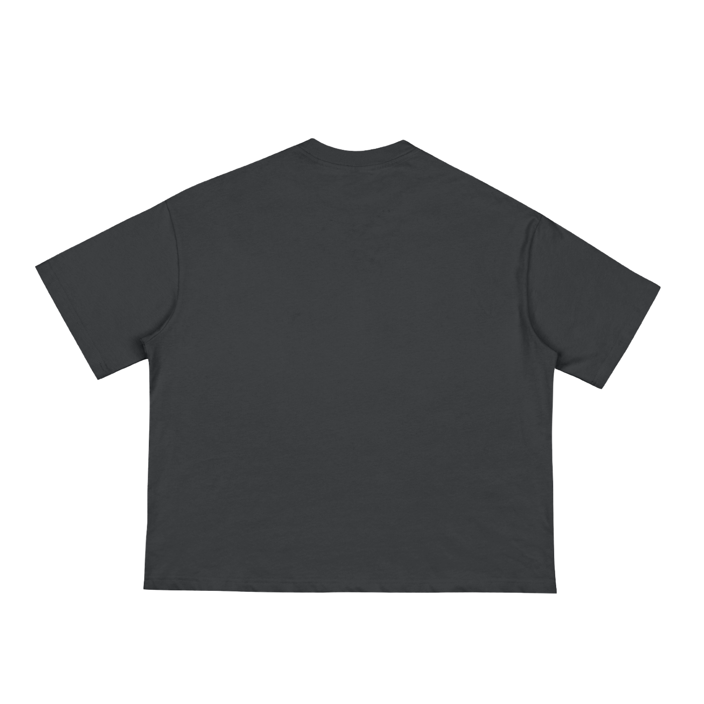 For Such A Time As This Boxy Tee