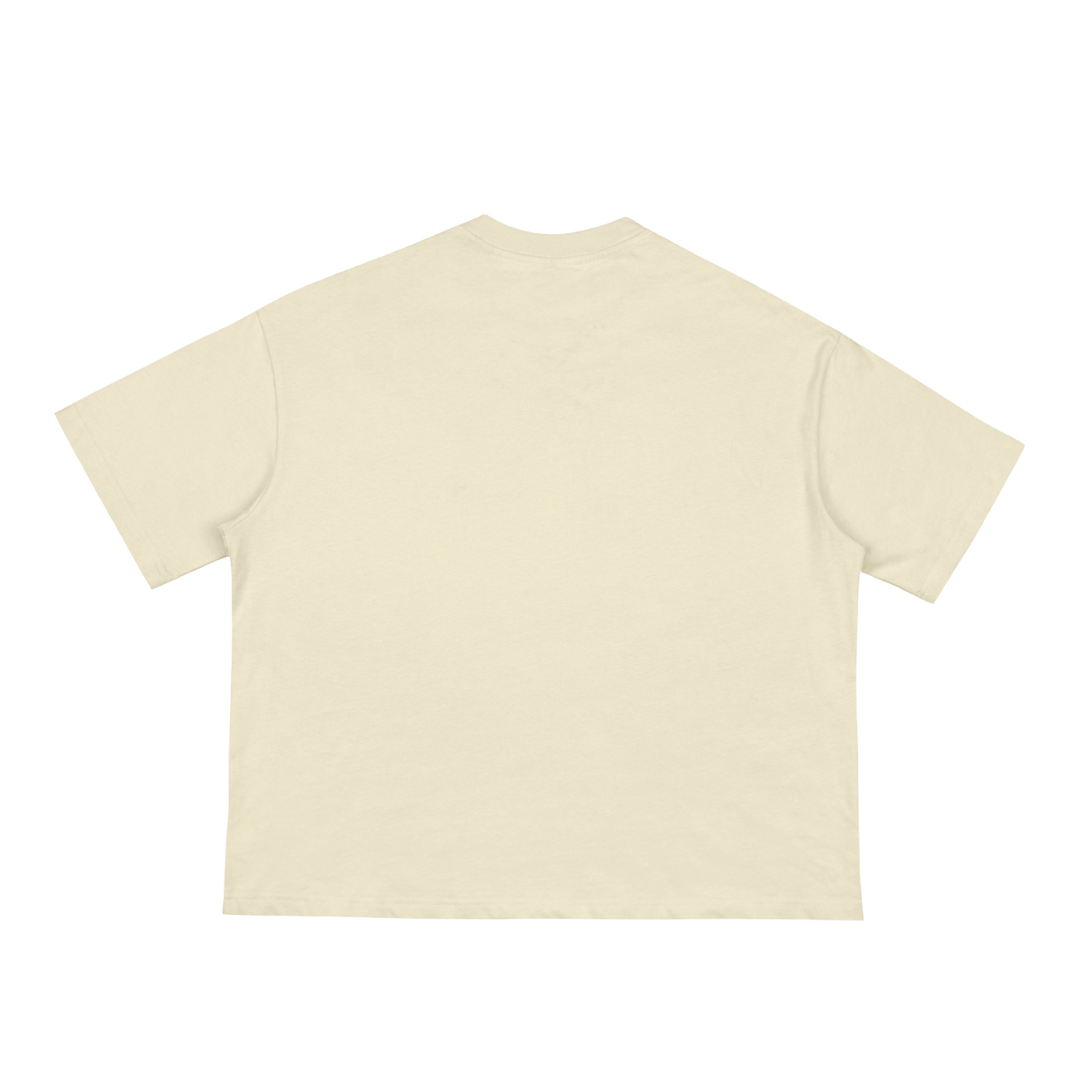 For Such A Time As This Boxy Tee (Light)